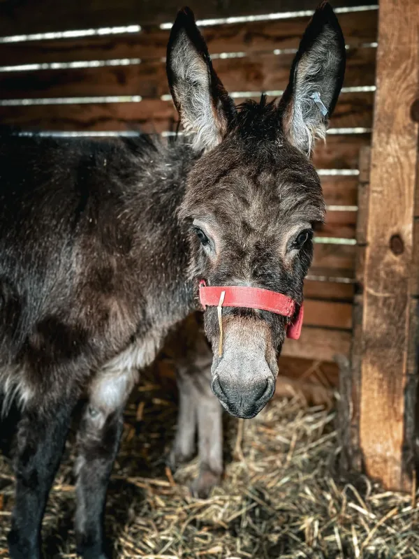 Mini zoo Papugarnia Gdańsk
